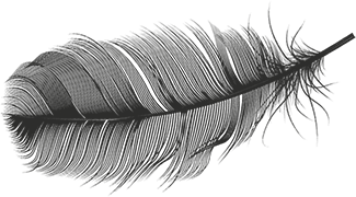 feather-black